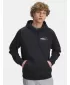 Férfi pulóver UNDER ARMOUR UA RIVAL FLEECE HBR LOGO HD 6003955-001 FEKETE
