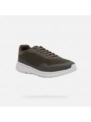 Férfi tornacipő GEOX KLAIVER KHAKI