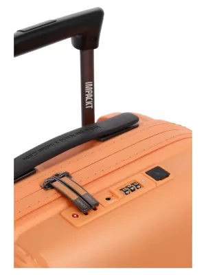 Bőrönd IMPACKT IP1 S KERTI KAJSZIBARACKOT