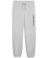 Férfi melegítőnadrág PUMA M GRAPHIC FRENCH TERRY JOGGER 52770304 VILÁGOSSZÜRKE HANGA
