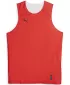 Férfi mez PUMA REVERSIBLE PRACTICE JERSEY 67664003 PUMA PIROS