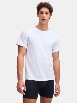 Férfi póló UNDER ARMOUR M UA PERF COTTON CREW NECK-2PK 6007621-100 FEHÉR