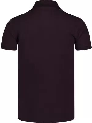 Mens t -phirt gallérral NORDBLANC ETERNITY NBSMT8166 BARNA