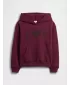 Gyermek pulóver GAP LOGO HOODIE PULLOVER 839160-00 BORDÓ LUREX