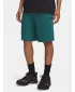 Férfi rövidnadrág UNDER ARMOUR UA RIVAL LW SHORTS 6009345-338 ZÖLD