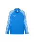 Férfi pulóver PUMA TEAMLIGA26 TRG 1/4 ZIP TOP 659724_02 ELECTRO ROYAL/ ELEKTRO ROYAL/PUMA FEHÉR