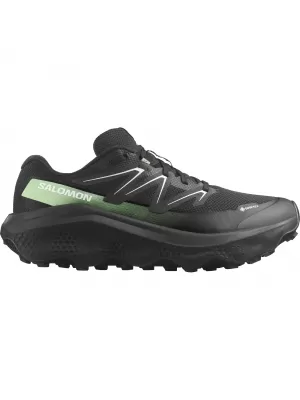 Férfi cipők SALOMON ULTRA FLOW 2 GTX L47981400 FEKETE/FEKETE/PATINA ZÖLD