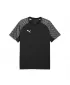 Férfi póló PUMA TEAMLIGA26 JERSEY 659721_03 PUMA FEKETE/PUMA FEHÉR