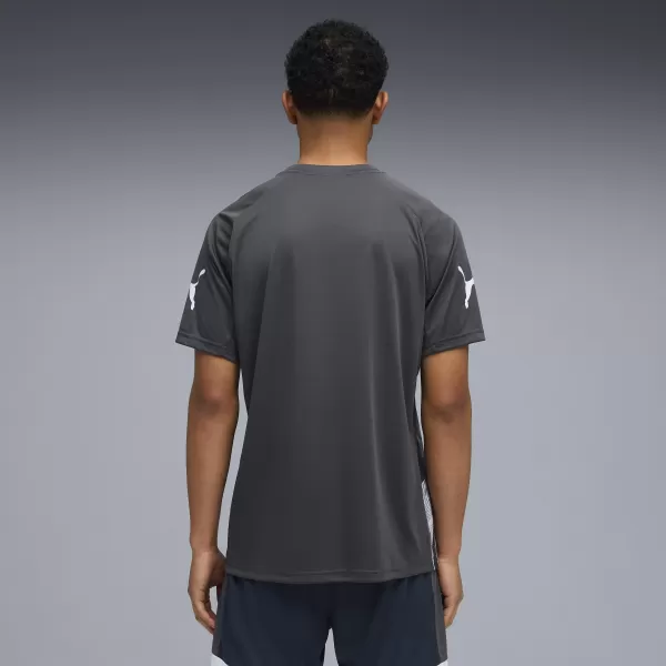  Férfi funkcionális póló PUMA INDIVIDUALLIGA GRAPH JERSEY 660578_02 ÁSVÁNYI KOBALT/GŐZSZÜRKE 