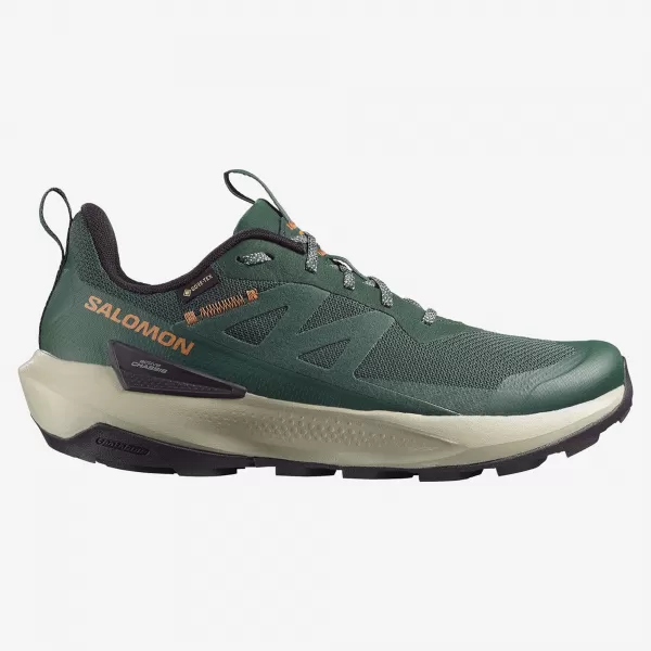  Férfi cipők SALOMON ELIXIR ACTIV GTX L49229800 SZKARABEUSZ/ZÖLD OROMFAL/CHILI 