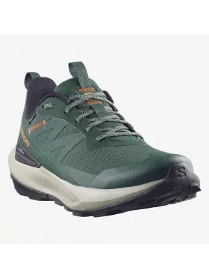 Férfi cipők SALOMON ELIXIR ACTIV GTX L49229800 SZKARABEUSZ/ZÖLD OROMFAL/CHILI