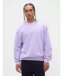 Férfi pulóver GAP LOGO SWEATSHIRT 821273-07 ORCHIDEA