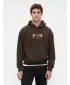 Férfi pulóver GAP LOGO PULLOVER HOODIE 821291-01 FÖLD