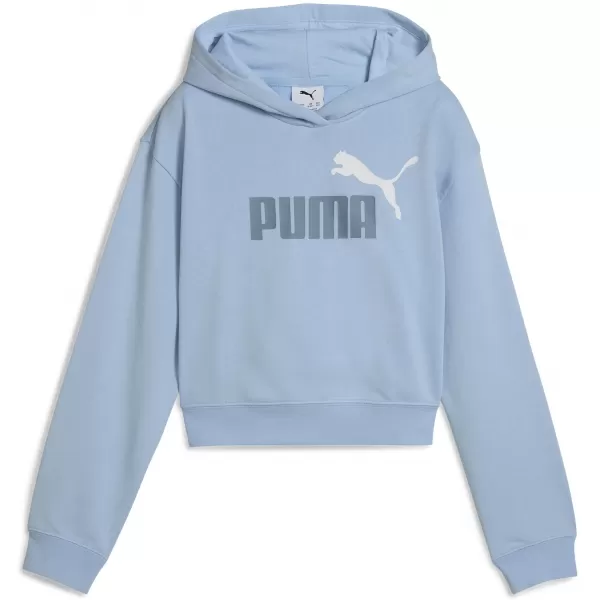  Gyermek pulóver PUMA ESS 2 COLOR LOGO HOODIE 686072-48 HAUTE TROPIC 