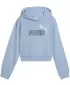 Gyermek pulóver PUMA ESS 2 COLOR LOGO HOODIE 686072-48 HAUTE TROPIC