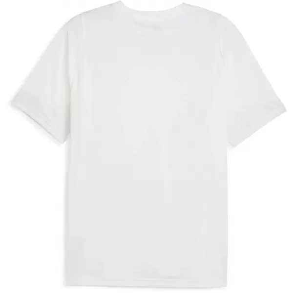  Férfi funkcionális póló PUMA TEAMCUP TRAINING JERSEY 659167-04 PUMA FEHÉR/PUMA EZÜST 