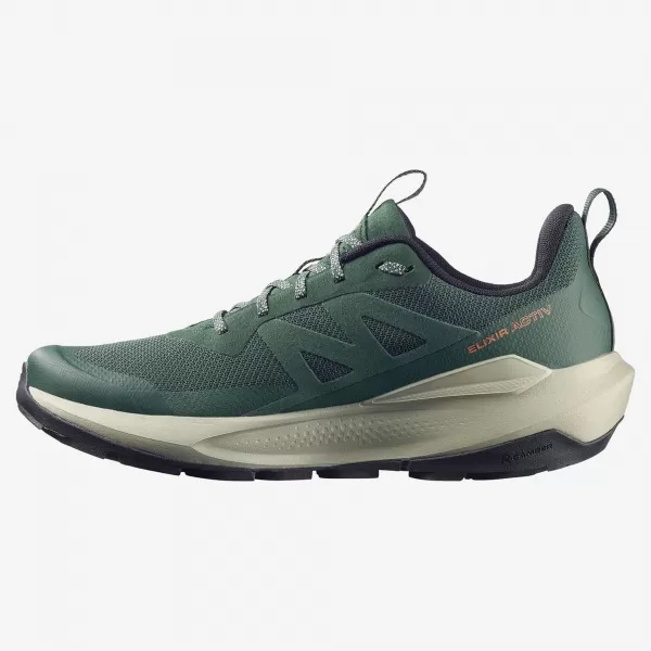 Férfi cipők SALOMON ELIXIR ACTIV GTX L49229800 SZKARABEUSZ/ZÖLD OROMFAL/CHILI 