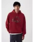 Férfi pulóver GAP ATHLETIC ARCH PULLOVER HOODIE 534173-00 JAPÁN JUHAR