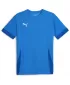 Férfi mez PUMA TEAMGOAL MATCHDAY JERSEY 705747-02 E.BLU.LEMON/WHITE/TEAM ROYAL