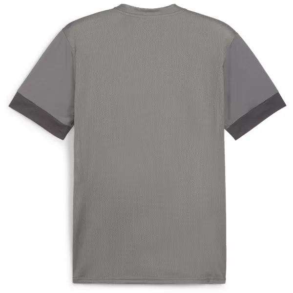  Férfi mez PUMA TEAMGOAL MATCHDAY JERSEY 705747-13 ÖNTÖTTVAS/FEHÉR/ÁRNYÉKSZÜRKE 