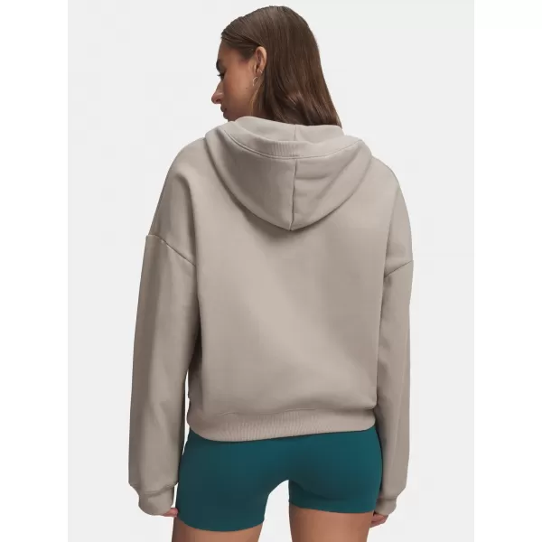  Női pulóver UNDER ARMOUR ICON FLEECE HZ HOODIE 6012843-203 BARNA 