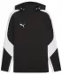 Férfi pulóver PUMA TEAMEVOSTRIPE HOODY 659954-03 PUMA FEKETE/PUMA EZÜST