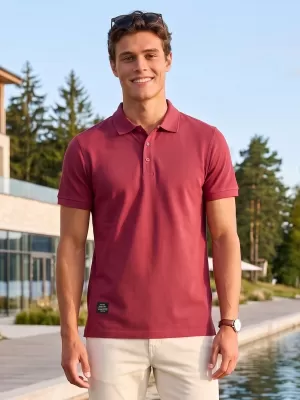 Férfi póló gallérral ALTISPORT NP/ALMST90601 BURGUNDIA