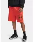 Férfi rövidnadrág UNDER ARMOUR RIVAL LW GRAPHIC SHORTS 6014689-690 PIROS