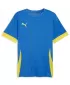 Férfi mez PUMA TEAMGOAL MATCHDAY JERSEY 705747-16 E.BLU.LIMONÁDÉ/GYORSABB SÁRGA