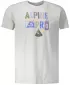 Ing ALPINE PRO ABIC 7 MTSP404 SZÜRKE