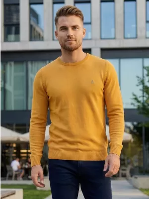 Férfi pulóver ALTISPORT KAMIQ MPLS096 SÁRGA