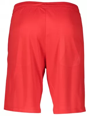 Férfi rövidnadrág ALTISPORT ALM006612 PIROS