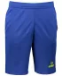 Férfi rövidnadrág ALTISPORT ALM006612 KIRÁLYKÉK