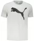 Férfi póló PUMA ACTIVE BIG LOGO TEE 586724-09 SZÜRKE