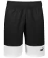 Férfi rövidnadrág PUMA POWER COLORBLOCK WOVEN SHORTS 9 848819-01 FEKETE