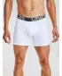 Férfi boxerek UNDER ARMOUR CHARGED COTTON 6IN 3 PACK 1363617-100 FEHÉR