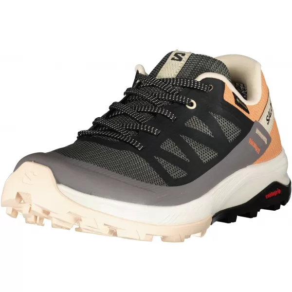  Női cipők SALOMON OUTRISE GORE-TEX L47219100 MÁGNES/FEKETE/KORALL ARANY 