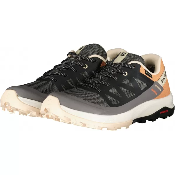  Női cipők SALOMON OUTRISE GORE-TEX L47219100 MÁGNES/FEKETE/KORALL ARANY 