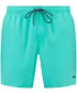 Férfi rövidnadrág PUMA SWIM MEN MEDIUM LENGTH SWIM SHORTS 1P 907660-19 ZÖLD