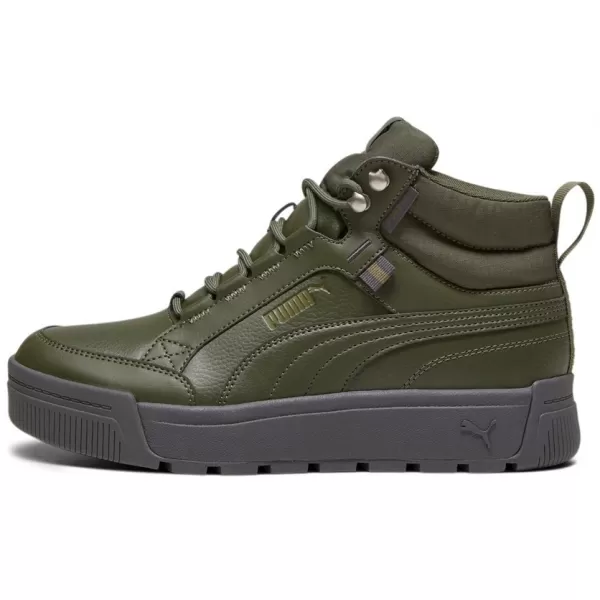  Férfi cipők PUMA TARRENZ SB III PURETEX 393930-03 ZÖLD 