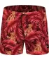 Férfi úszónadrág NORDBLANC RAINFOREST NBSPM8019 PIROS
