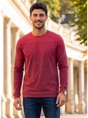 Férfi póló ALTISPORT DAIRUS BURGUNDIA