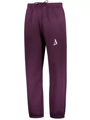 Férfi zeneszámok ALTISPORT BYB/ALM002BY286 BURGUNDIA