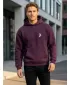 Férfi pulóver ALTISPORT BYB/ALM002BY284 BURGUNDIA