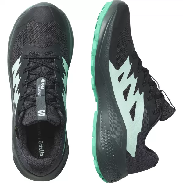  Női cipők SALOMON ALPHAGLIDE GTX W L47802400 FANTOM/URBAN CHIC/VÍZESÉS 