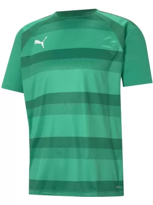Férfi funkcionális ing PUMA TEAMVISION JERSEY 704921_05 PEPPERGREEN/POWERGREEN/WHITE
