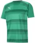 Férfi funkcionális ing PUMA TEAMVISION JERSEY 704921_05 PEPPERGREEN/POWERGREEN/WHITE