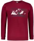 Férfi pulóver ALTISPORT ALM190406 GRÁNÁT