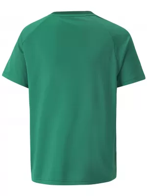 Gyerek póló PUMA TEAMVISION JERSEY JR 704928_05 PEPPERGREEN/POWERGREEN/WHITE