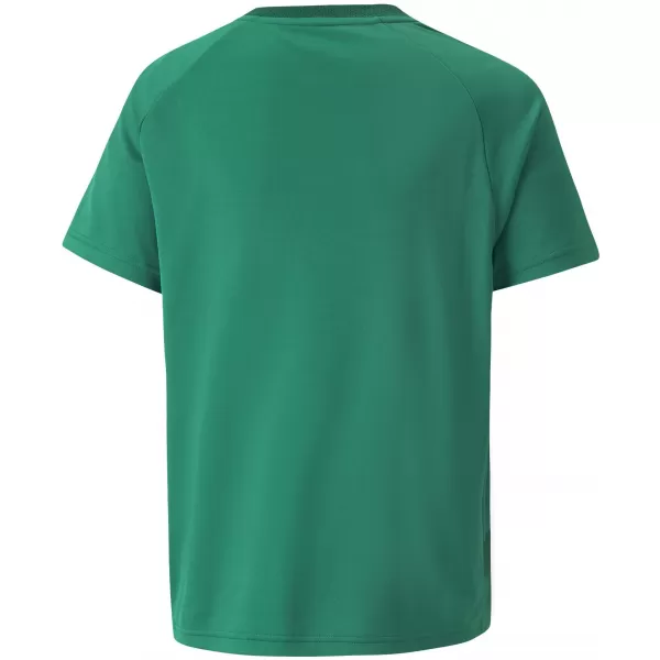  Gyerek póló PUMA TEAMVISION JERSEY JR 704928_05 PEPPERGREEN/POWERGREEN/WHITE 